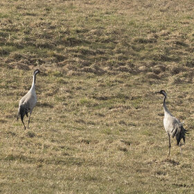 �������-2