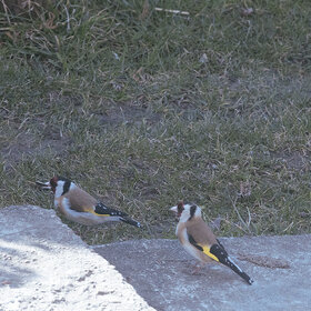 ��������,